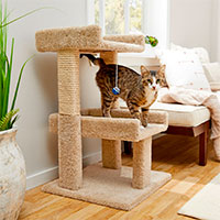 Frisco Carpet Wooden Cat Tree with Toy.