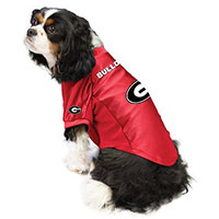 Littlearth NCAA Stretch Dog Jersey