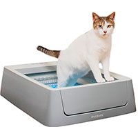 ScoopFree Smart Automatic Cat Litter Box.