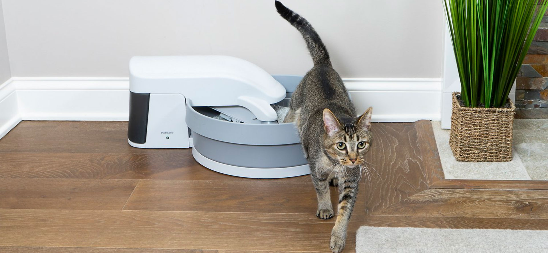 Self-Cleaning cat litter box.