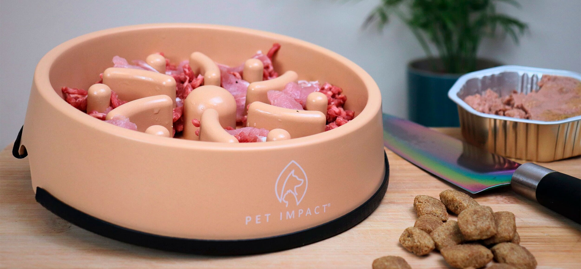 Slow feeder dog bowl with food.
