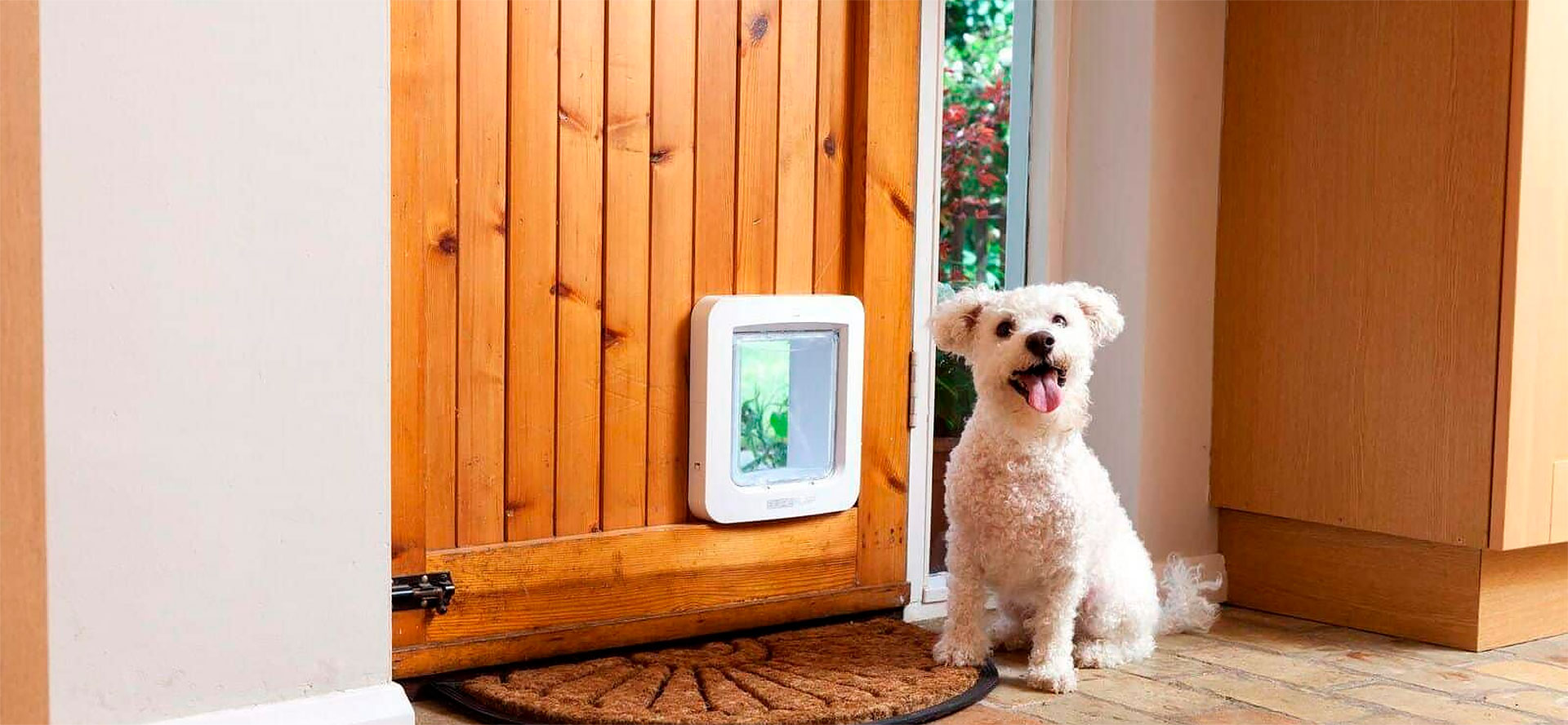 Small Dog Doors.