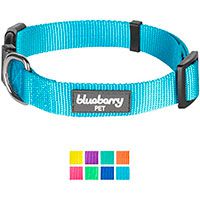 Blueberry Pet Classic Solid Nylon Dog Collar.