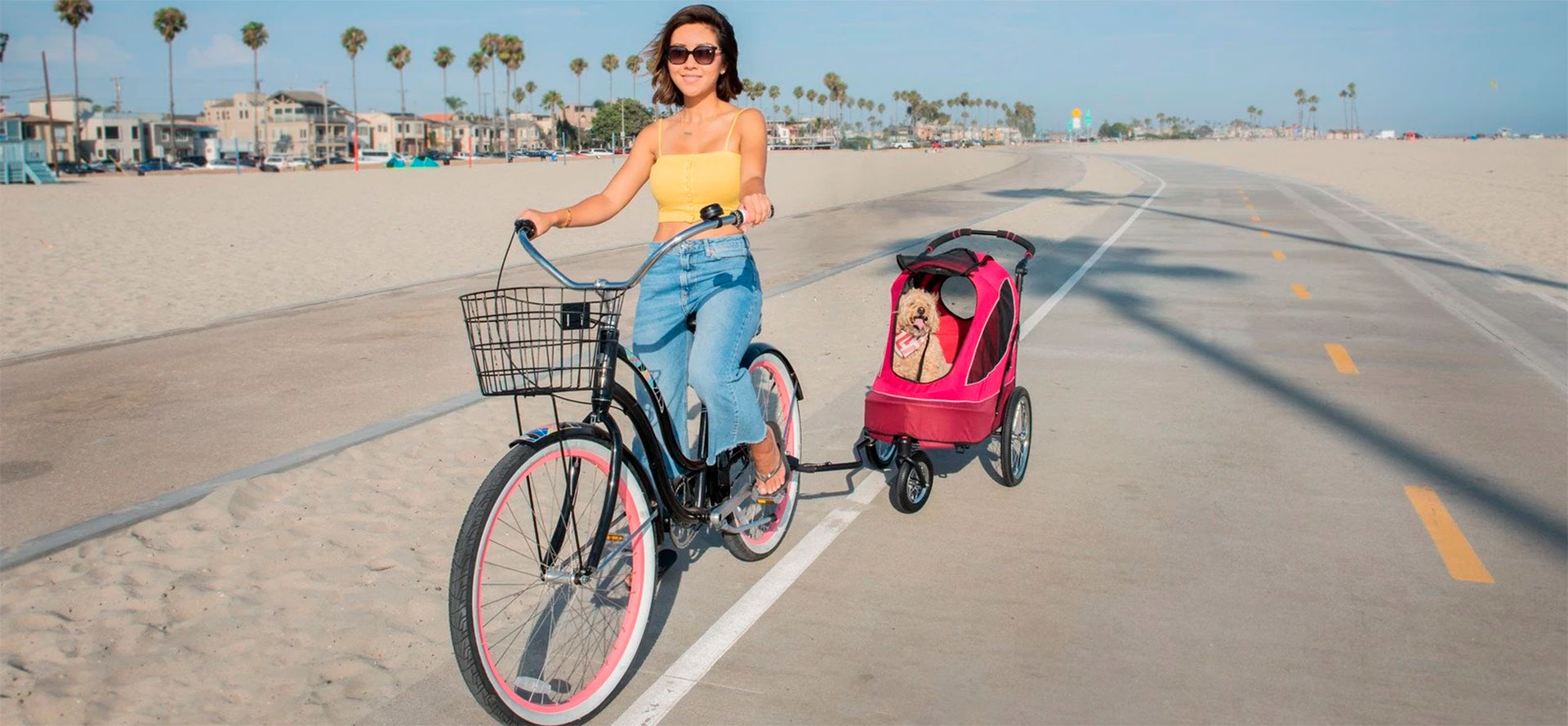 Stroller for Small Dog.