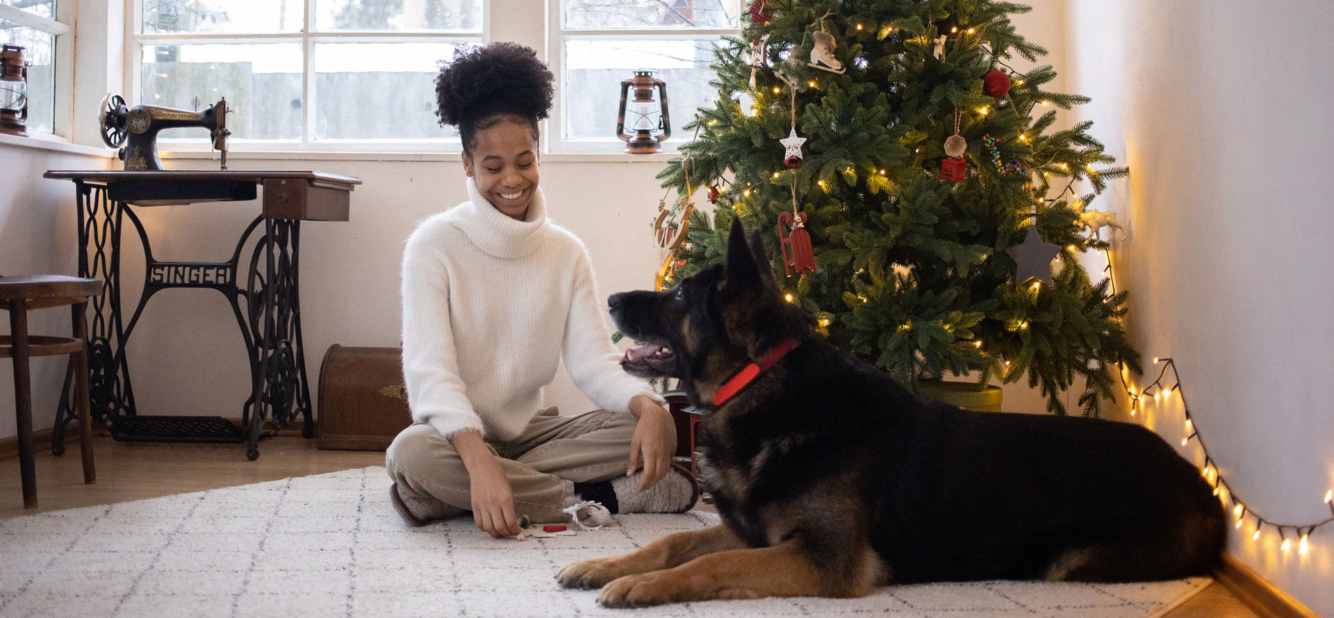 Dog behavior and christmas tree.