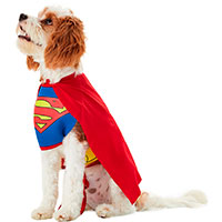 Rubie's Costume Company Superman Dog & Cat Costume.