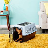 Top Load Dog & Cat Kennel.