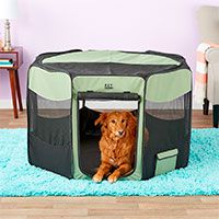 Pet Gear Travel Dog Pen with Removable Top.