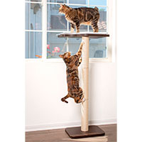 PetFusion Ultimate Window Cat Perch.