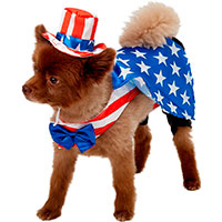 Rubie's Costume Company Uncle Sam Dog Costume.