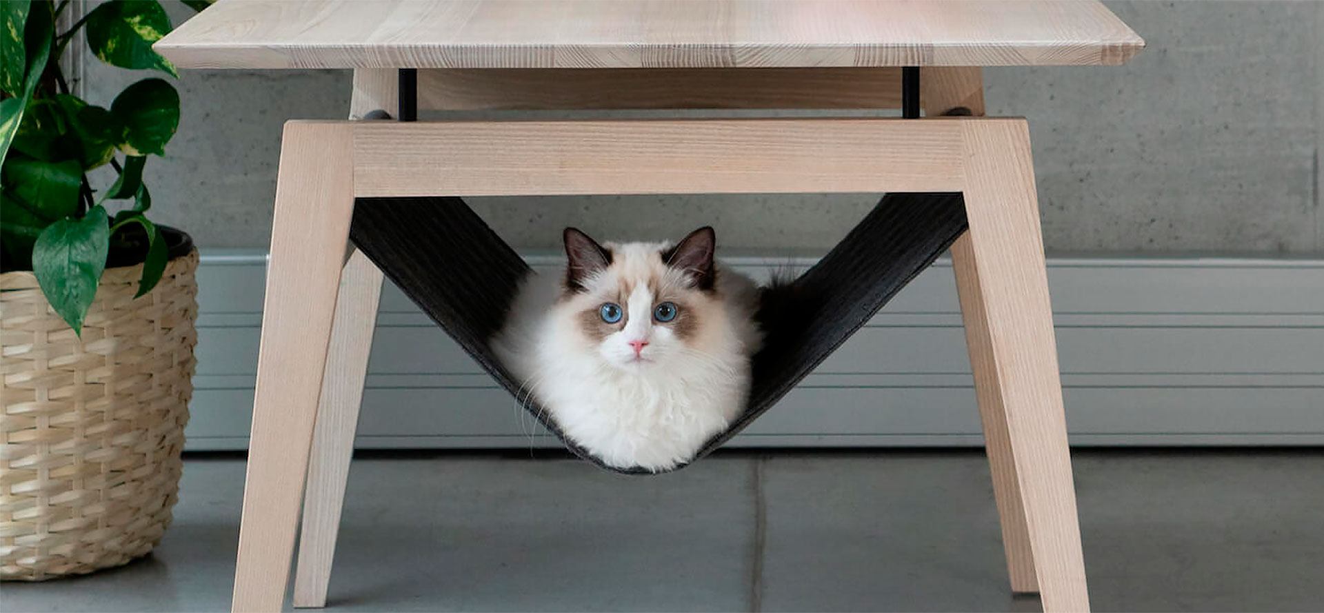 Under-Table Cat Hammock.