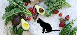 Cat and vegetables.
