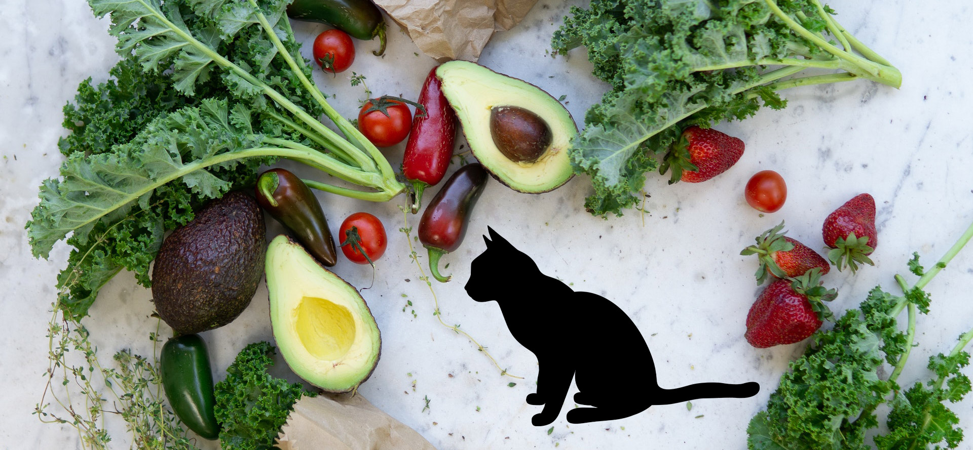 Cat and vegetables.