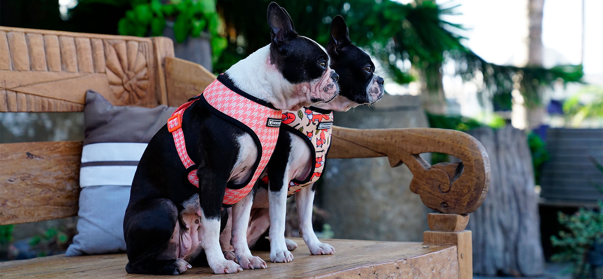 Vest Dog Harness.