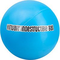 The Virtually Indestructible Ball Dog Toy.