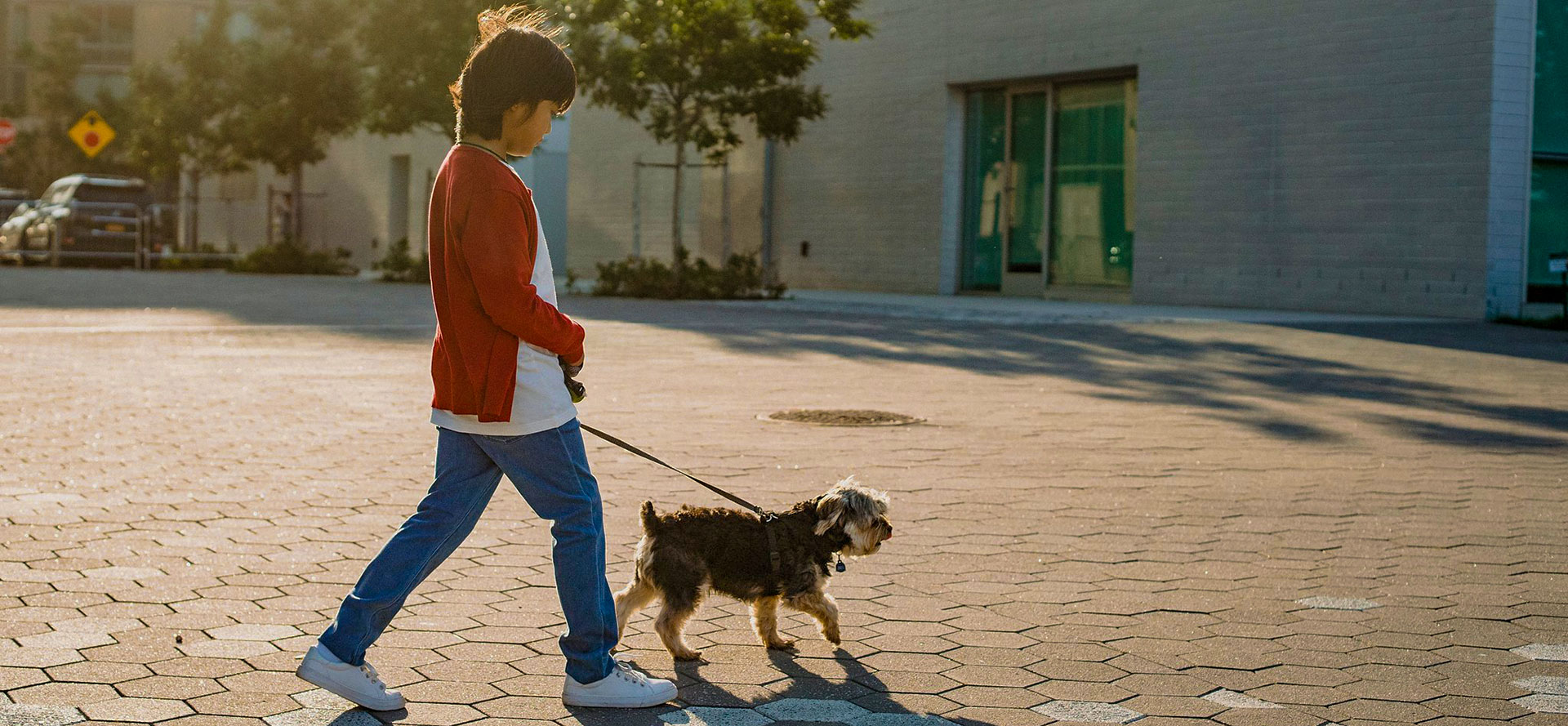 Guy walks with dog.