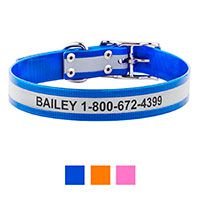 GoTags Personalized Reflective Waterproof Dog Collar.