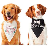 Frisco Wedding Reversible Dog & Cat Bandana.