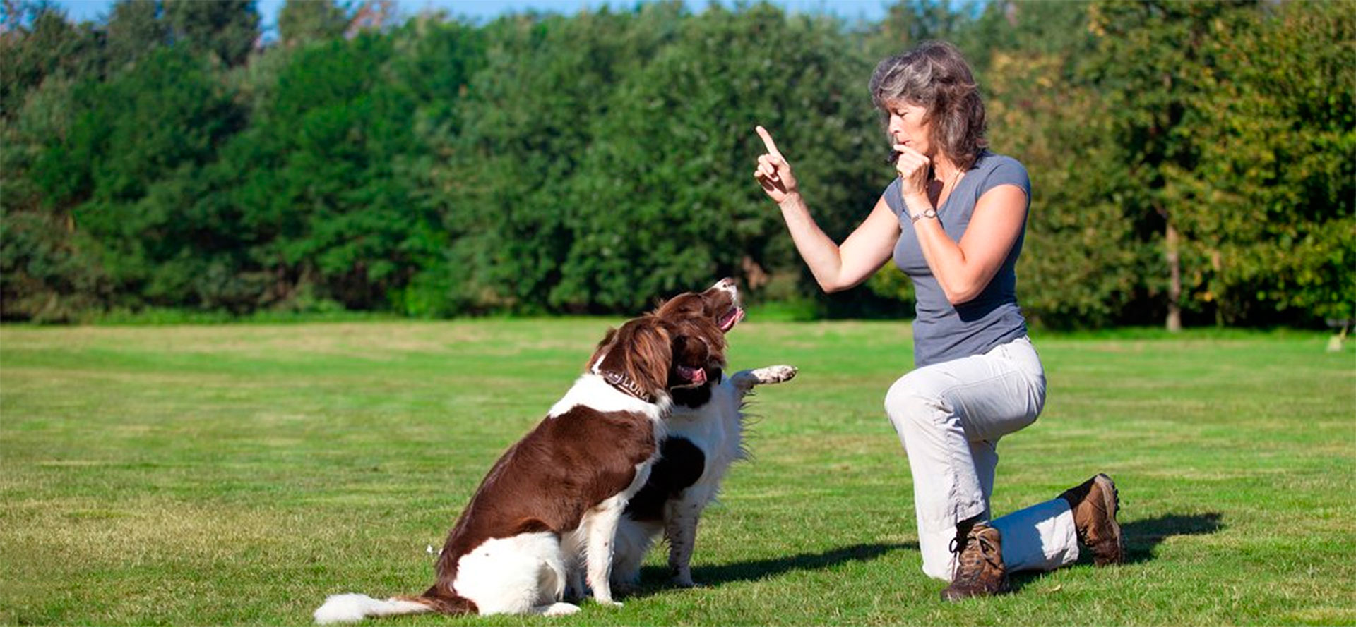 Using dog whistle for training.