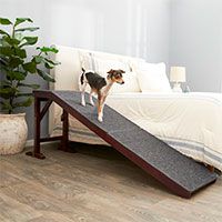 Frisco Deluxe Wooden Carpeted Cat & Dog Ramp.
